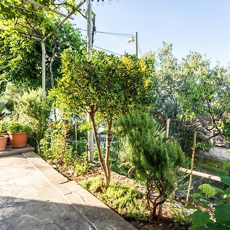 Apartmán Seaview